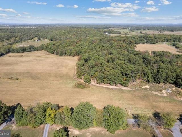 Land for sale in Stephenson, Virginia