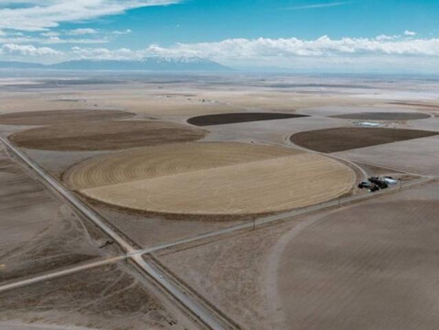 Land for sale in Center