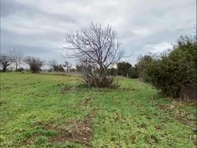 Kocagür, Biga içerisinde satılık Arsa