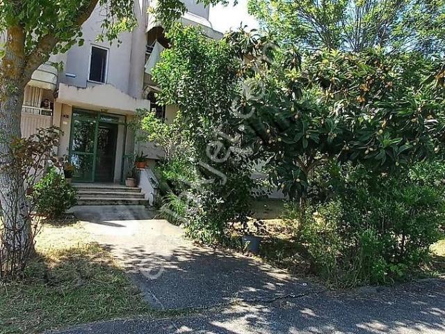 İzmit, Kocaeli içerisinde kiralık mülk