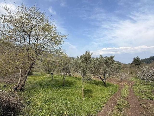 Osmangazi, Bursa içerisinde satılık Arsa