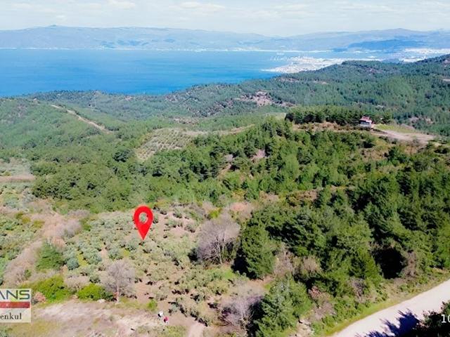 Osmangazi, Bursa içerisinde satılık mülk