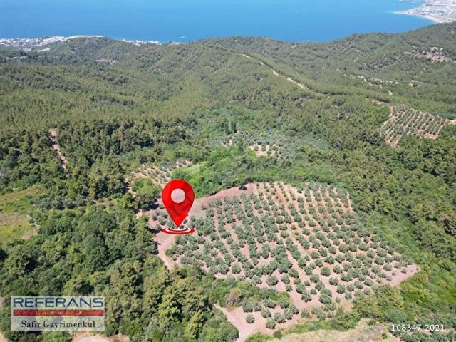 Osmangazi, Bursa içerisinde satılık Arsa