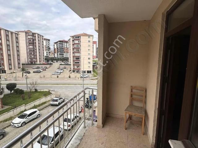 Edirne Merkez, Edirne içerisinde kiralık mülk
