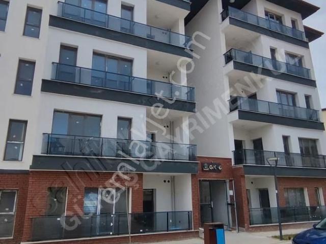Körfez, Kocaeli içerisinde kiralık mülk