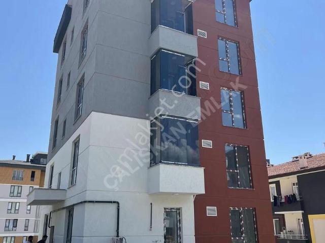 Tokat Merkez, Tokat içerisinde kiralık mülk