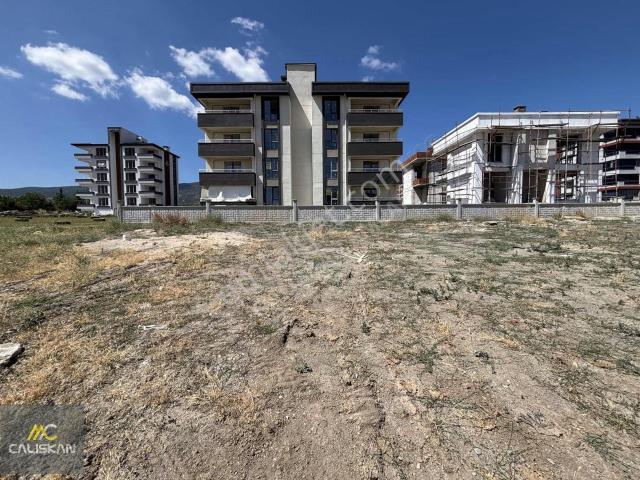 Tokat Merkez, Tokat içerisinde kiralık mülk