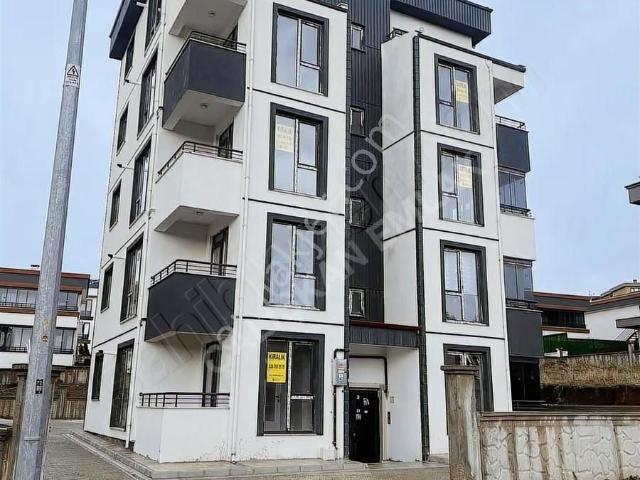 Tokat Merkez, Tokat içerisinde kiralık mülk