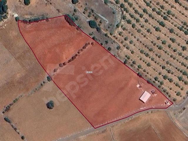 Beyağaç, Denizli içerisinde satılık Arsa