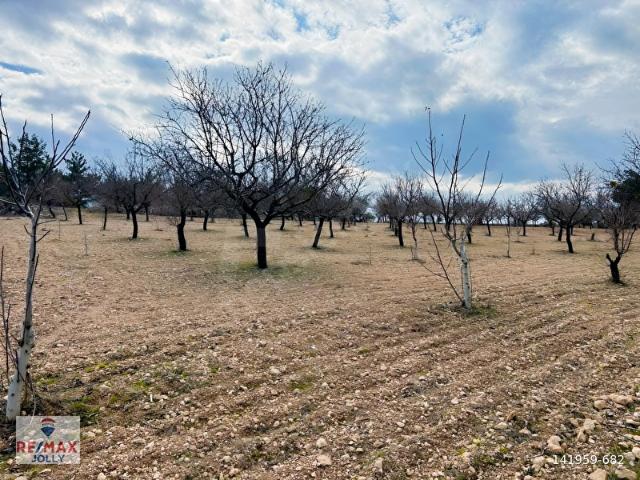 Güney, Denizli içerisinde satılık Arsa