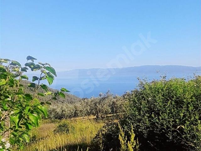 İznik, Bursa içerisinde satılık mülk