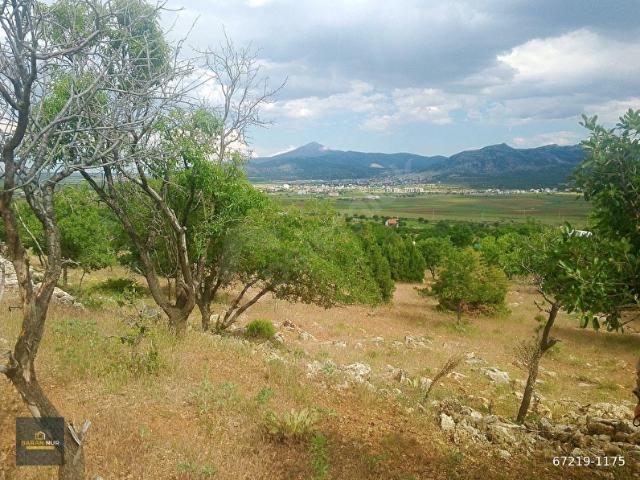 Avcıtepe, Güneysınır içerisinde satılık mülk