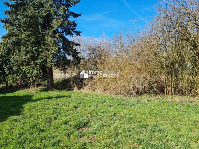 Immobilie kaufen in Gunskirchen, Oberösterreich