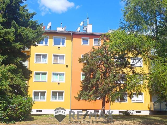 Apartment kaufen in Groß-Enzersdorf, Niederösterreich