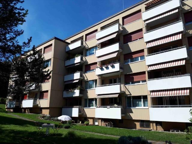 Wohnung mieten in Wädenswil, Zürich
