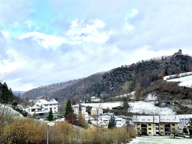 Wohnung kaufen in Waldenburg, Basel-Landschaft