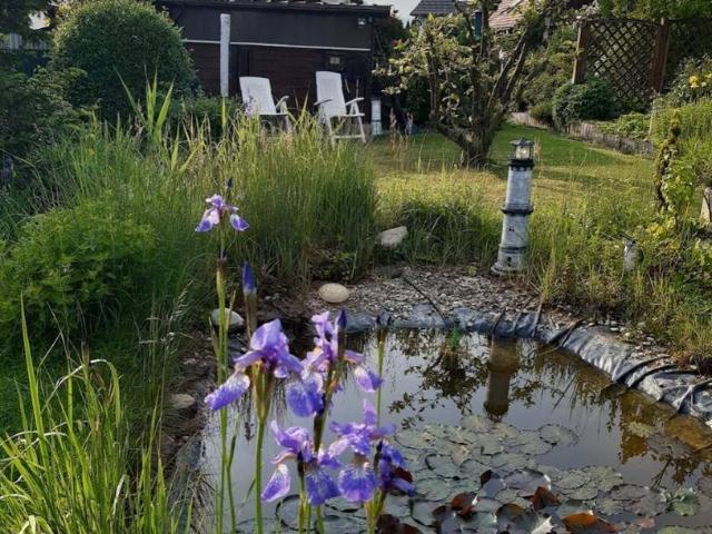 Haus kaufen in Geras, Niederösterreich