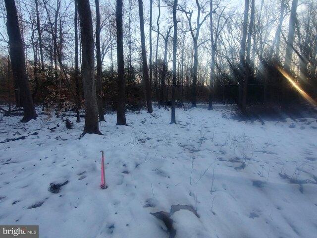 Land for sale in Lorton