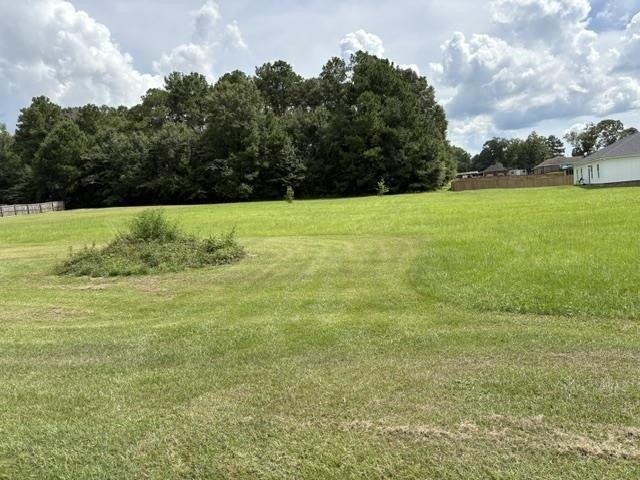 Land for sale in Opp, Alabama