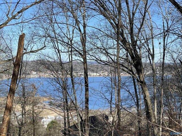 Land for sale in Guntersville, Alabama