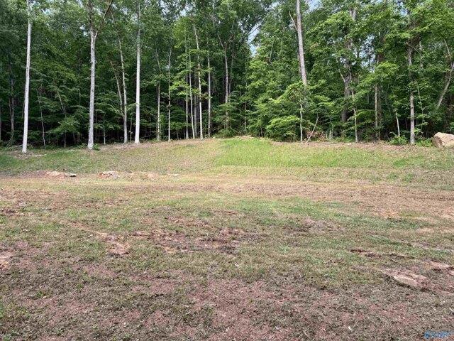 Land for sale in Guntersville, Alabama
