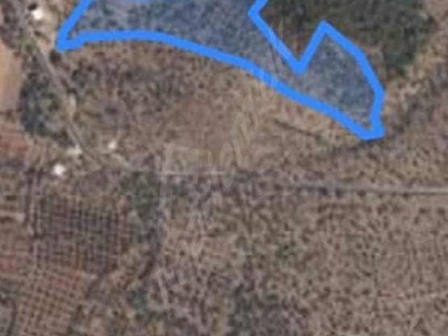 Milas, Muğla içerisinde satılık mülk