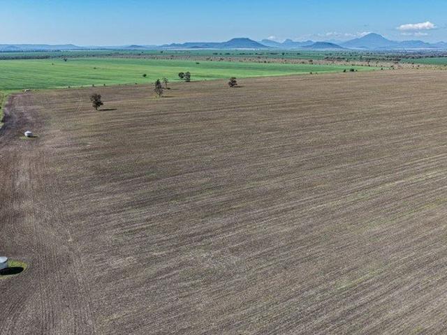 Cottage for sale in Gurley, New South Wales