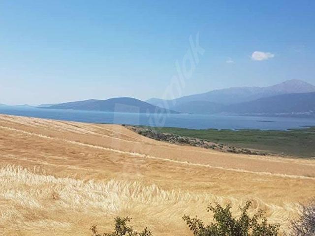 Yeniköy, Şarkikaraağaç içerisinde satılık Arsa