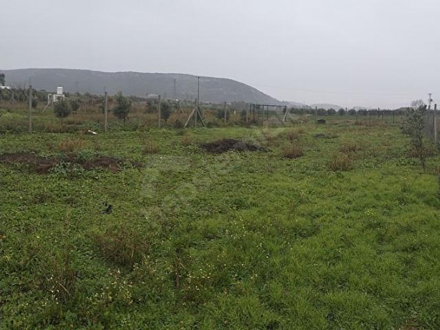 Torbali, İzmir içerisinde satılık Arsa