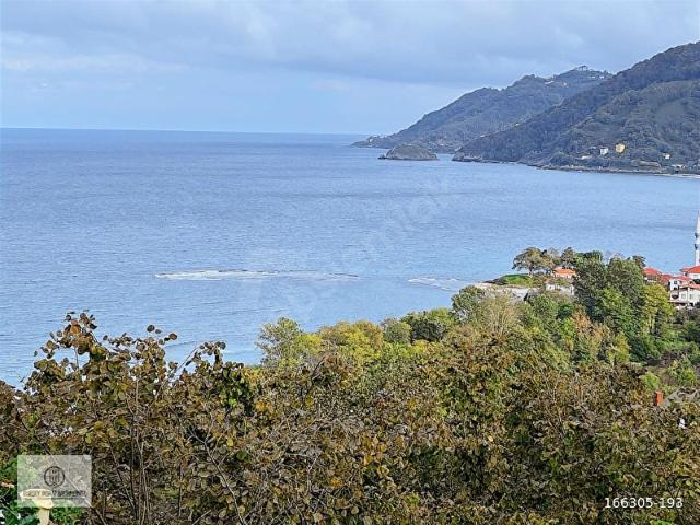 Ordu içerisinde satılık mülk