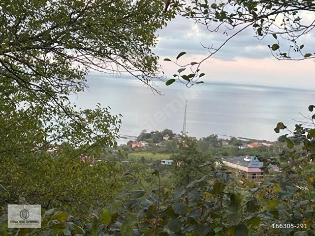 Ordu içerisinde satılık Arsa