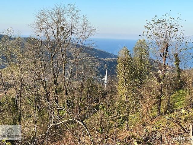 Ordu içerisinde satılık mülk