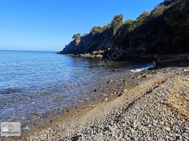 Ordu içerisinde satılık mülk