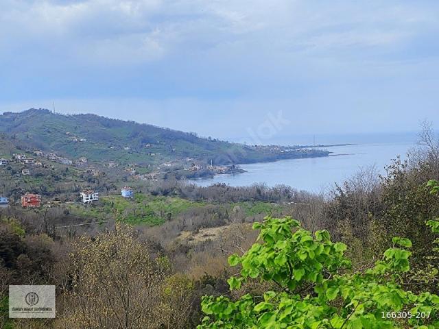 Ordu içerisinde satılık mülk