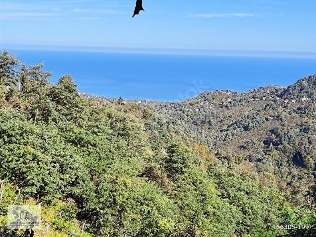 Ordu içerisinde satılık mülk