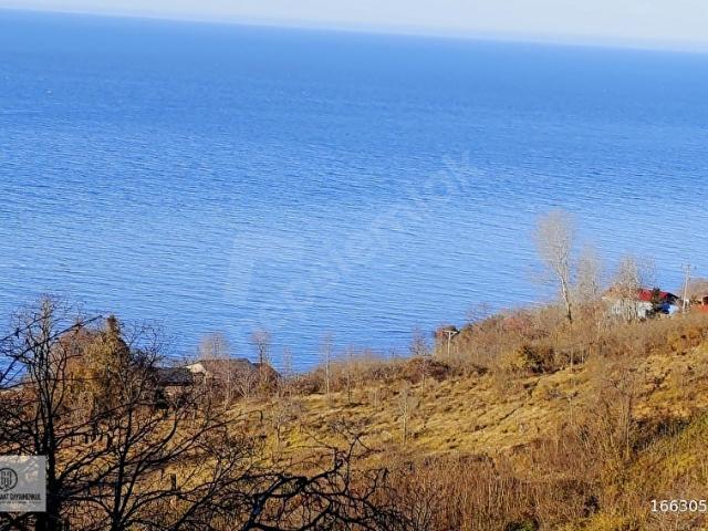 Ordu içerisinde satılık mülk