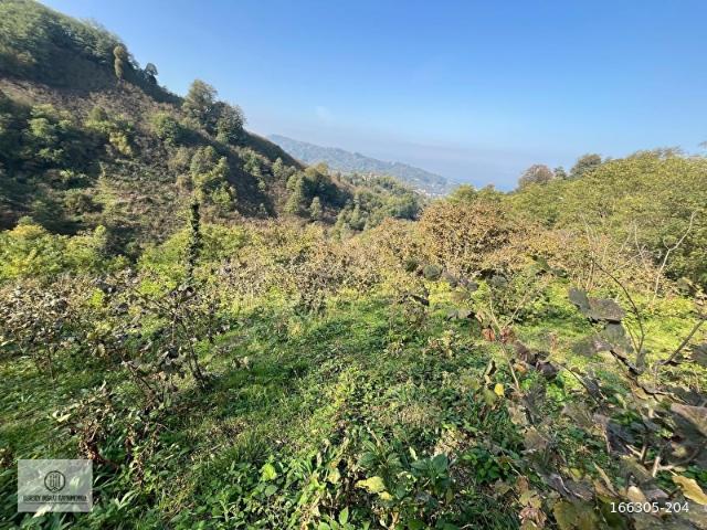 Ordu içerisinde satılık mülk