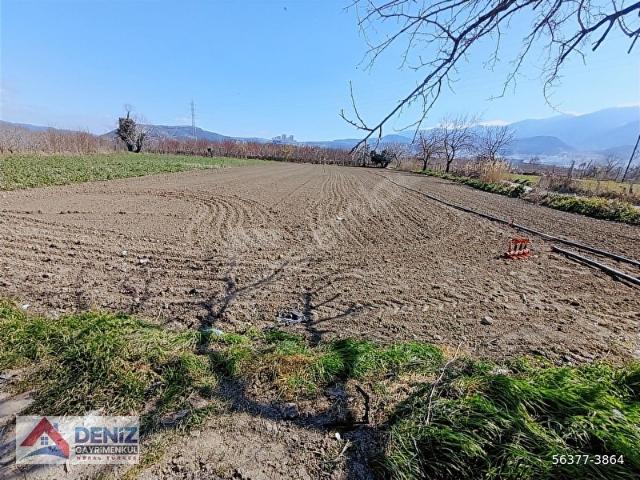Gürsu, Bursa içerisinde satılık Arsa