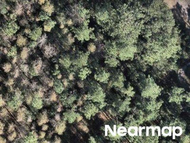 Property for sale in Odessa, Florida