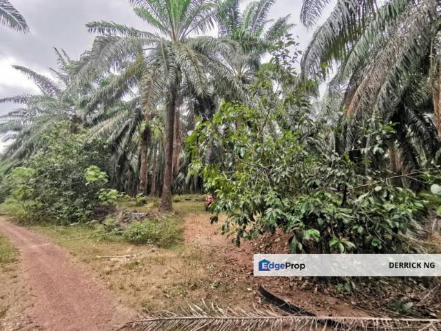 Shop for sale in Kuala Muda, Kedah