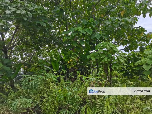 Shop for sale in Kuala Muda, Kedah