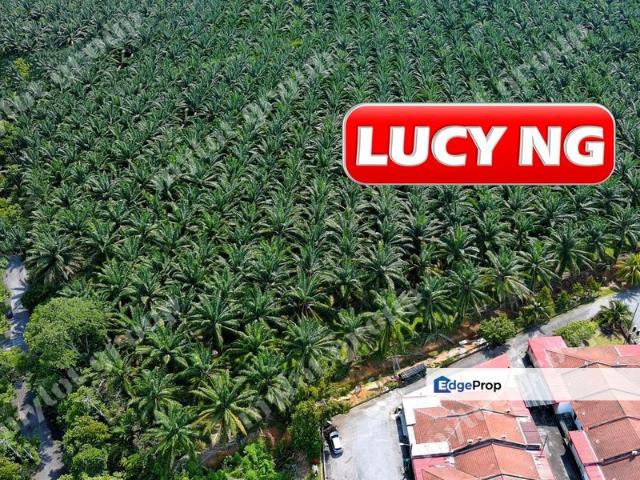 Warehouse for sale in Kuala Muda, Kedah