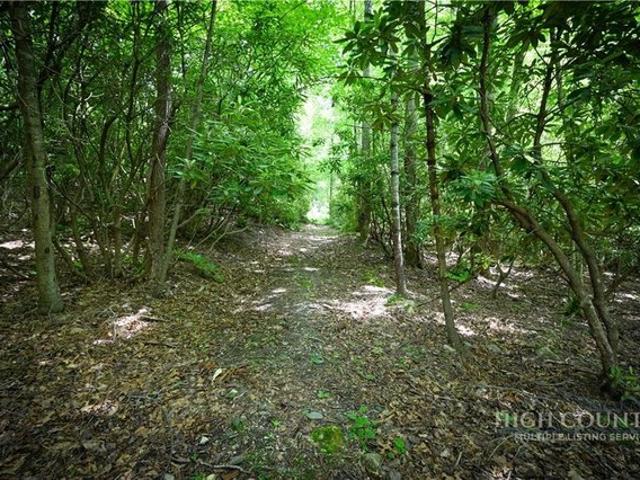 Land for sale in Spruce Pine, North Carolina