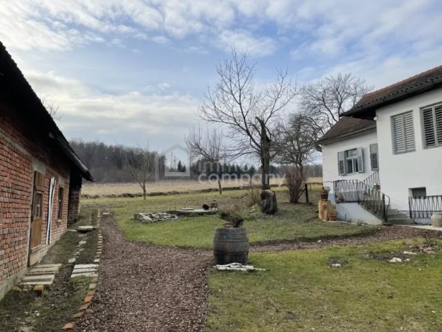 Haus kaufen in Güssing, Burgenland