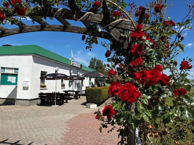 Gewerbe kaufen in Zörbig, Anhalt-Bitterfeld