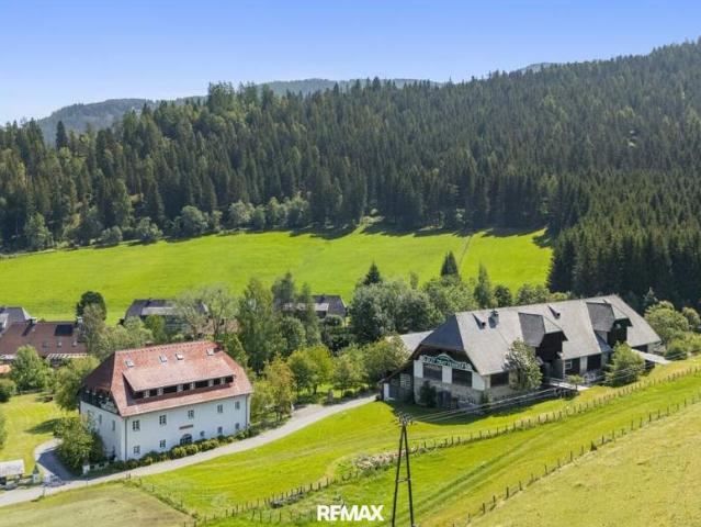 Gewerbe kaufen in Laßnitz bei Murau, Steiermark