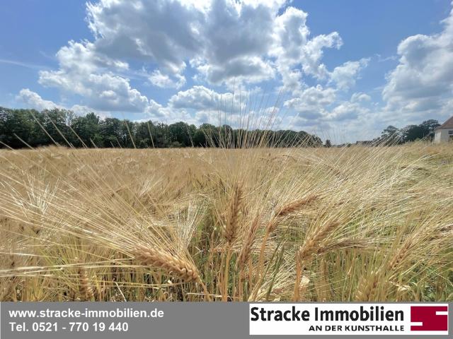 Landwirtschaft kaufen in Brackwede, Bielefeld