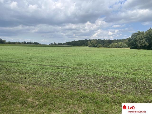 Landwirtschaft kaufen in Wehrbleck, Niedersachsen