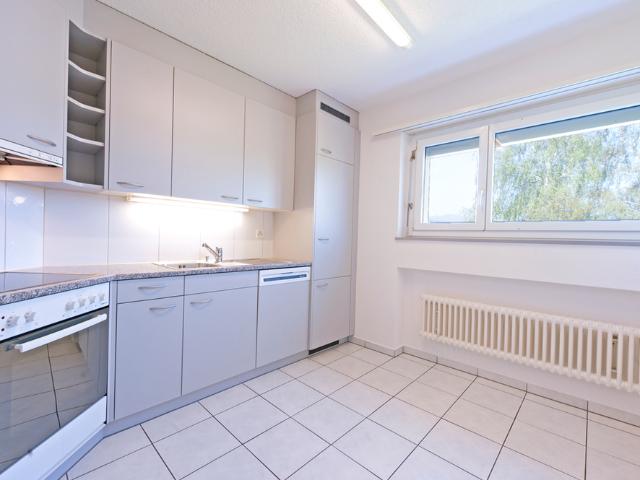 Apartment mieten in Wangen bei Olten, Solothurn
