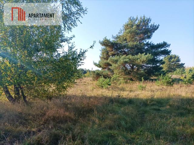 Grunt na sprzedaż w Gutowo, Kujawsko-pomorskie